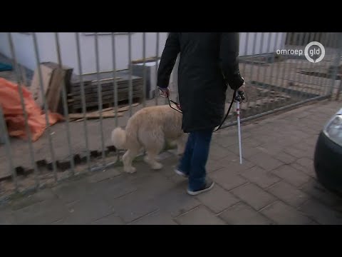 GLD Nieuws 19 januari 2019 - zaterdag 19 januari