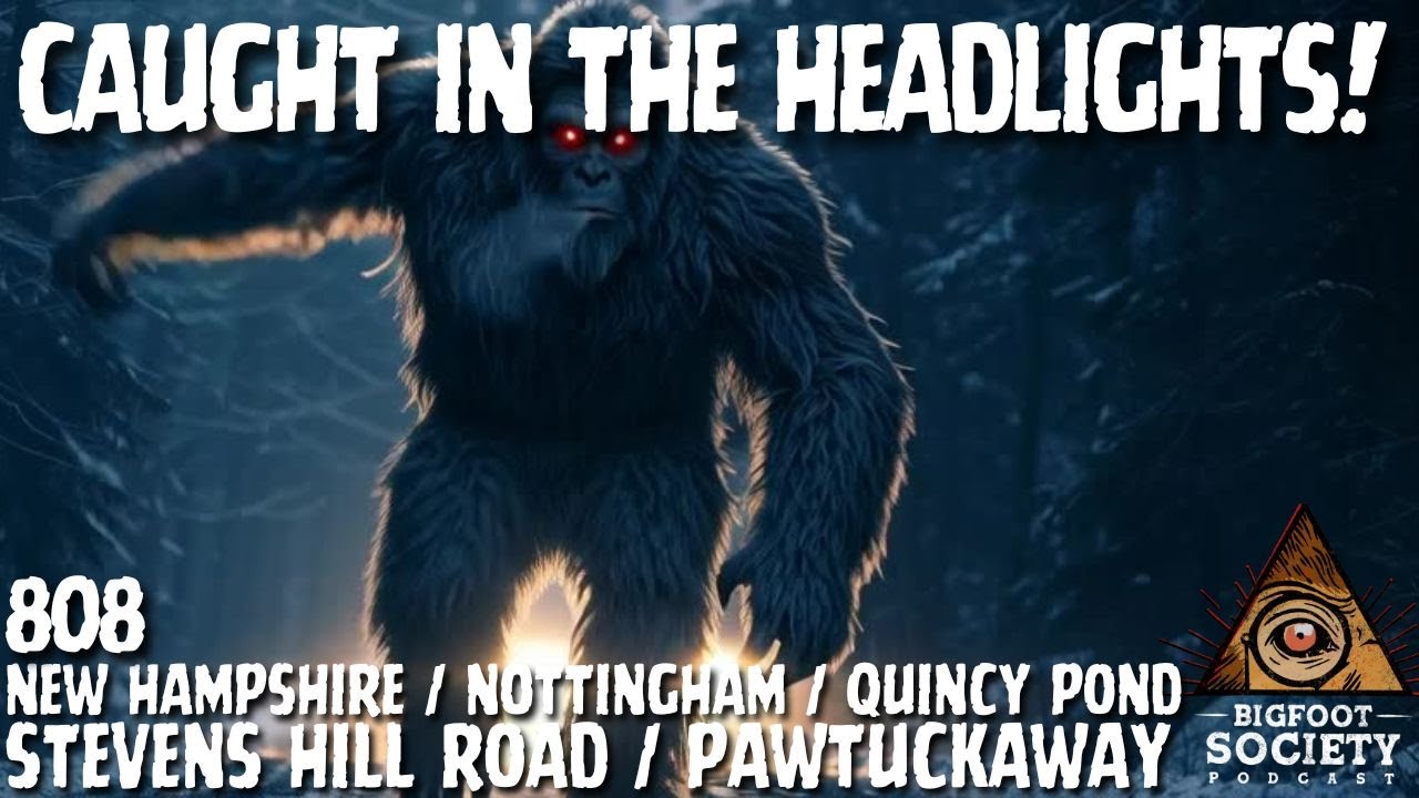 Caught in the Headlights! | New Hampshire