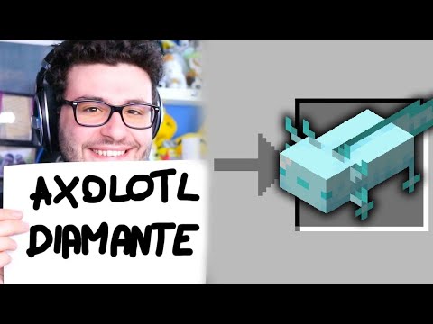 TUTTO QUELLO CHE SCRIVI LO OTTIENI SU MINECRAFT