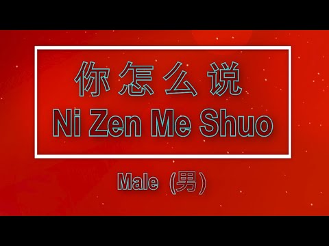 你怎么说 【卡拉OK (男)】《KTV KARAOKE》 - Ni Zen Me Shuo (Male)