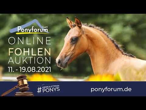 EINFACH DORI SF v. Dreidimensional AT NRW / Valerius