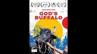 God's Buffalo