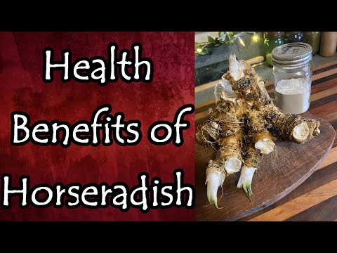 Health Benefits of Horseradish