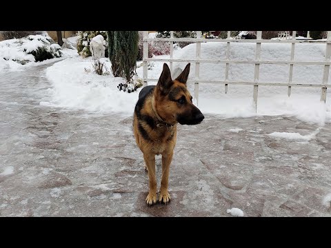 БУЯН. Последние новости и ответы на вопросы.