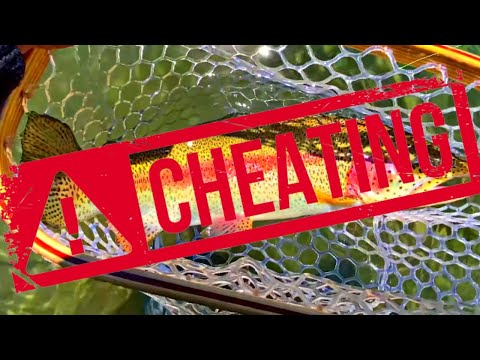 Some Might Consider this Fishing Tactic as CHEATING