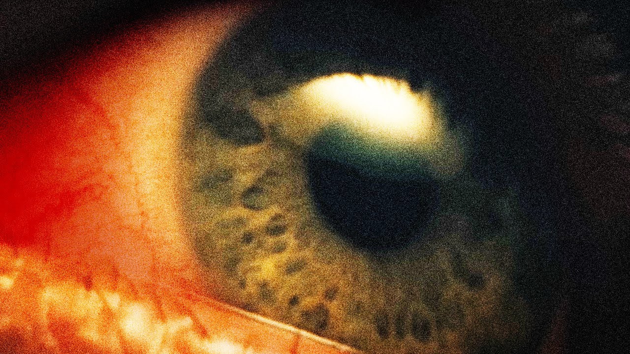 Birds Do Not Sing in Caves