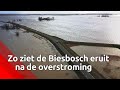 De polder staat compleet onder water.