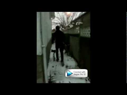 Spermy the Sperm Cell