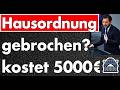 Grüner Parteivorsitzender bricht Bundestags-Regeln – Ich habe Klöckner informiert