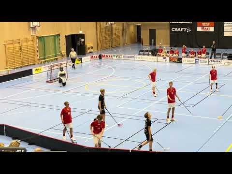 Highlights P08-09 /Kvidinge IBS - VV-84 SK Bjuv 6-1