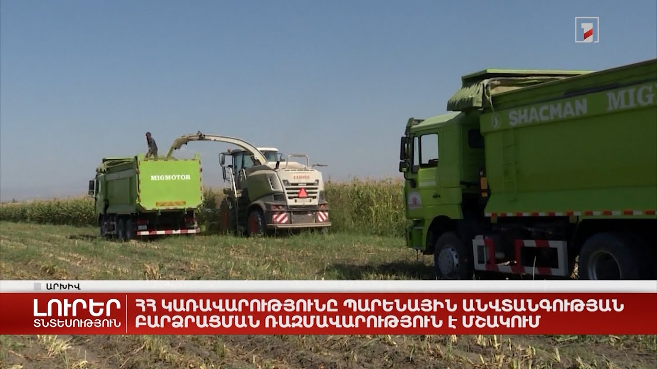 ՀՀ կառավարությունը պարենային անվտանգության բարձրացման ռազմավարություն է մշակում