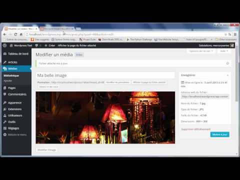 Tutoriel Wordpress 26 Les pages de médias