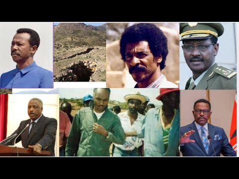 Nummer 75: „Deine Geschwindigkeit ist blitzschnell!“