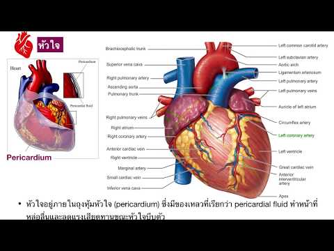 อาการโรคสะเก็ดเงินในวัยรุ่น น้ำมันน้ำส้มสายชูจากโรคสะเก็ดเงิน