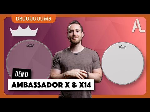 The differences between Ambassador, X & X14 🥁