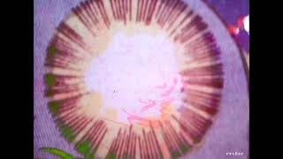 Emerson, Lake &amp; Palmer. /Pictures at an Exhibition/ The Curse of Baba Yaga &amp; Hut of B.Y. / 1971.