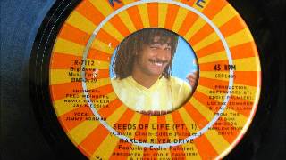 HARLEM RIVER DRIVE feat. EDDIE PALMIERI-the seeds of life pt.1