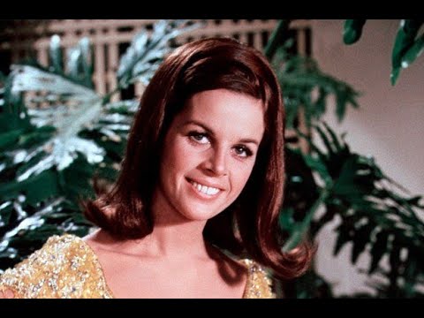 Candlelight on Crystal by Mancini   Renato de Oliveira Junior arranjo