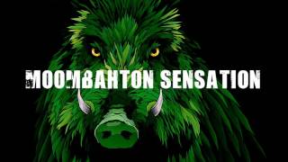 Bingo Players - When I Dip (Noizekid TwerkDM Bootleg)