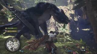 【MHW:IB】初見ナルガクルガwith yuga
