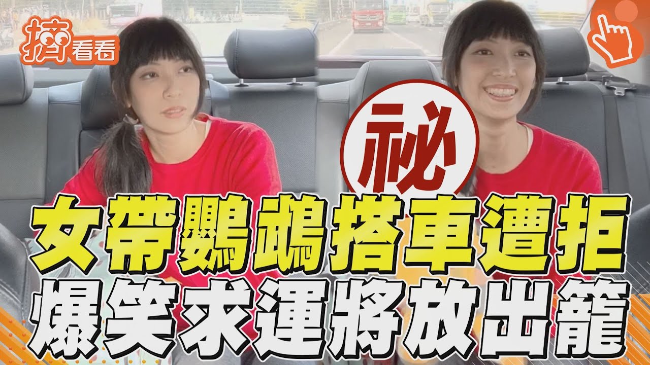影音／女帶鸚鵡搭車一度遭拒！　「求運將放出籠」爆笑逆轉
