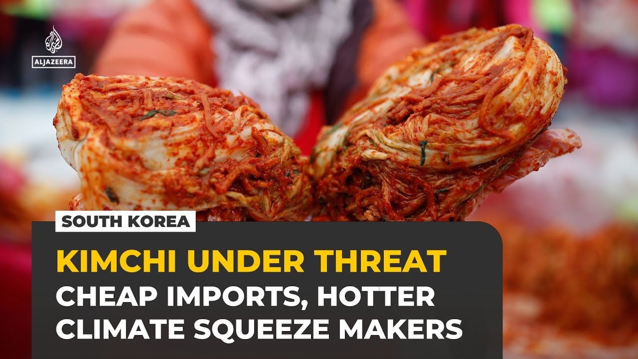South Korea’s kimchi industry squeezed by cheap imports, climate change