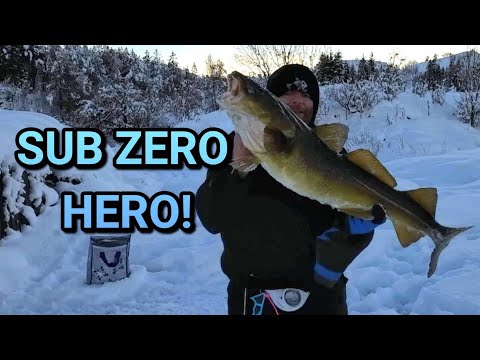 Arctic fishing, life in the deep freeze!