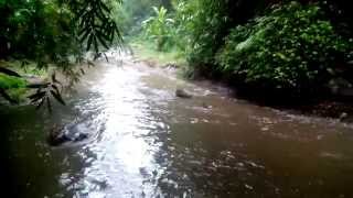 preview picture of video 'Banjir Setelah Hujan di Pleret Kali Bungkusan - Klaten'