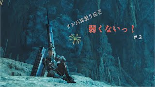 [MHWilds]ランスは言うほど弱くないっ！第3回