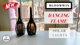 Solar Torch Lights with Flickering Flame - Review 🌿