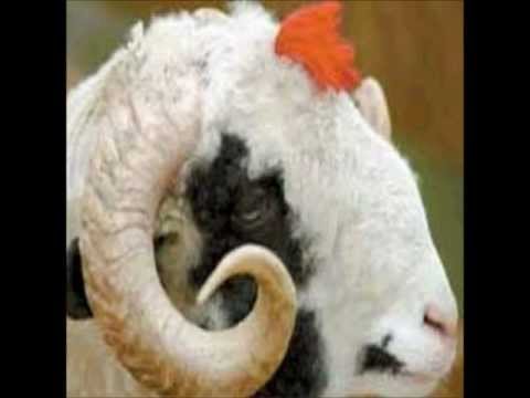 Dj SeMeTLiLi & Ayhan Polatkan   Dımı dımı