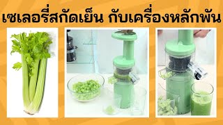 เซเลอรี่สกัดเย็น จากเครื่องแยกกากราคาพันต้น ๆ Blendplus Mini slow juicer