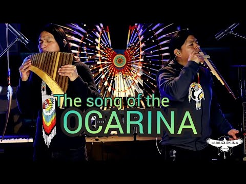 The Song Of The Ocarina | La Musica Mas Linda Del Mundo | Panflute | Quenacho | LIVE