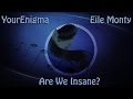 YourEnigma - Tavi and Scratch - "Are We Insane ...