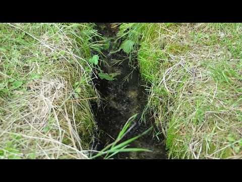 Doogee S40 WaterProof Test