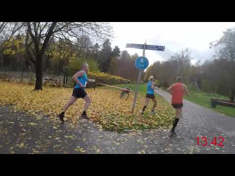 Hostruset 2019 - Längs banan