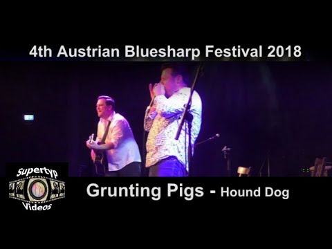 Grunting Pigs - Hound Dog