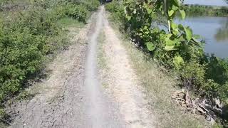 Download lagu Pesarehan makam mbah KUNING.... Keramat rawa ds.Moro kec. Sekaran kab. Lamongan mp3