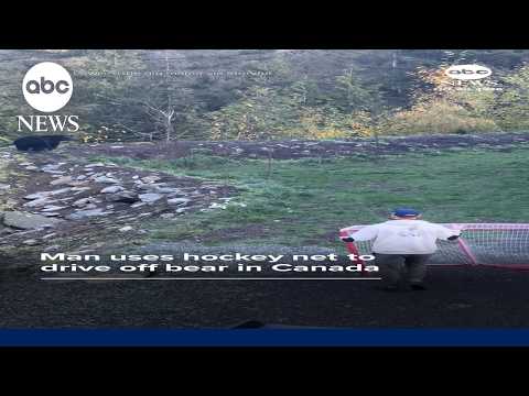 Man uses hockey net to drive off bear in Canada
