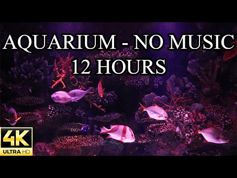 AQUARIUM 4K Coral Reef NO MUSIC and NO ADS 4K Reef Tank - 12 Hours | Aquarium Sounds For Sleeping