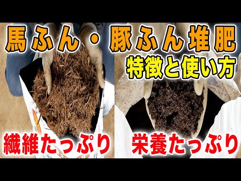 堆肥化した馬糞の使い方は？肥沃な作物を育てるための利点とヒント  庭園