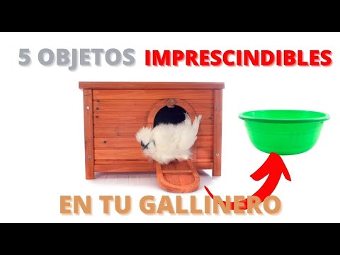 👉 5 OBJETOS Que NECESITAMOS Tener en el GALLINERO 🐔