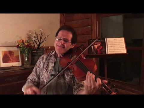 The Art Of Swing Violin by Stephan Dudash
