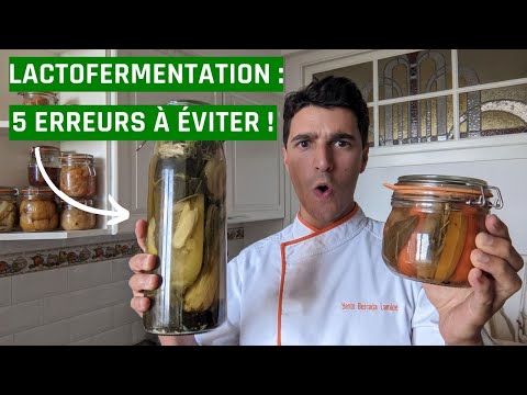 Recette Jus fermenté de myrtilles et orties