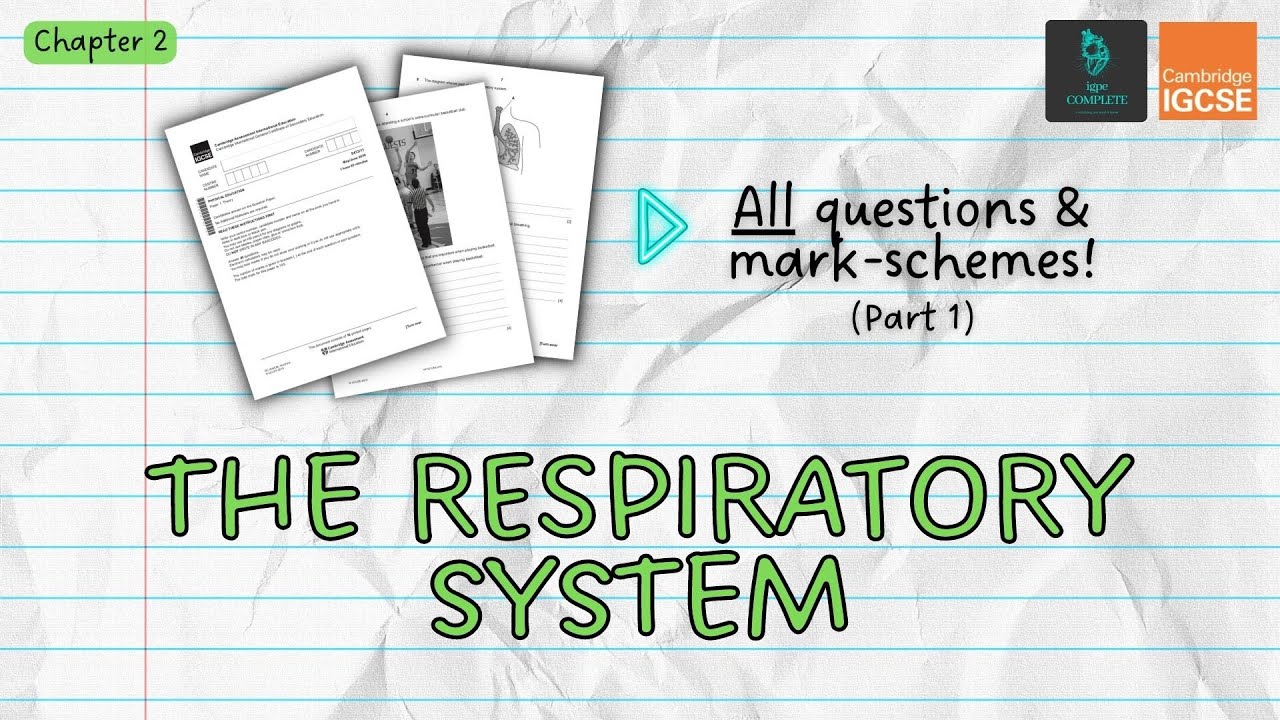 QUESTIONS, A* ANSWERS & MARK SCHEMES - Respiratory System (Ch 2) - IGCSE PE exam revision