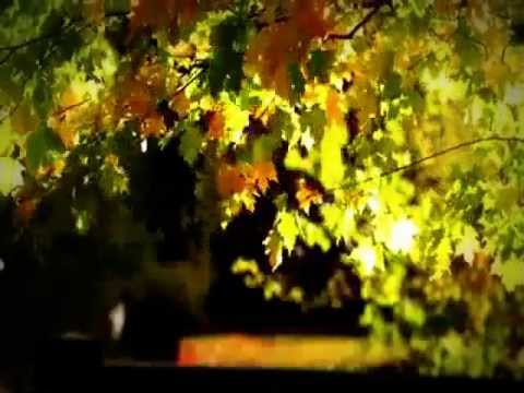 Murnau feat. Wine Soaked Hearts -Last Hope Sound- alternative version