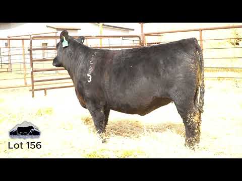 Lot 156