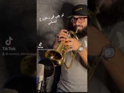 بأمارت مين - لوجي في رجوع انساني ترومبيت احمد الشنواني موسقي ahmed elshanawany فريد