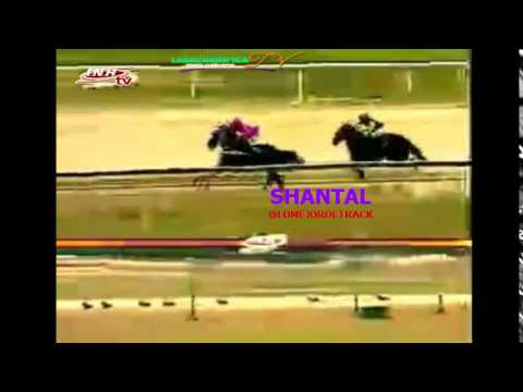 VALENCIA 4 CARRERA, VIERNES 20 DE MARZO DEL 2015