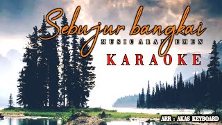 Download lagu Sebujur bangkai - rhoma irama ( karaoke ) musik aransemen mp3